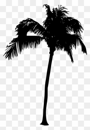 Free Download - Palm Tree Silhouette