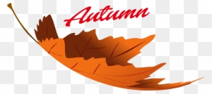 Autumn Leaves Png Image - Portable Network Graphics