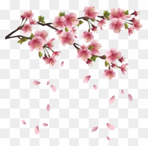Spring Png Transparent Images - Sakura Blossom - Japanese Cherry Tree King Duvet