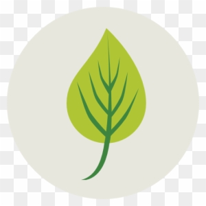 Leaf Free Icon - Ecology