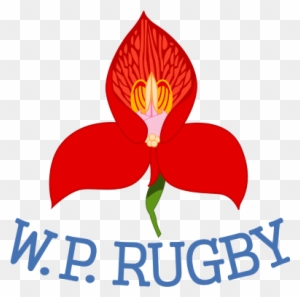 Western Province Rugby Logo - Western Province Logo Png