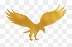 i Gold Eagle Logo 3d Gold Eagle Png Free Transparent Png Clipart Images Download i Gold Eagle Logo 3d Gold Eagle Png Free Transparent Png Clipart Images Download