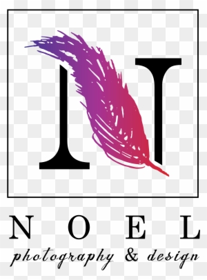 Noel Photography And Design - Birds With Banner