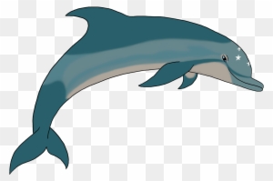 I Tried To Draw Dotf Ecco - Common Bottlenose Dolphin