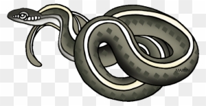 Garter Snake Clipart - Garter Snake Clipart