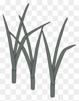 Ian Symbol Reeds - Wetland Symbol