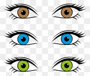 Eyes Eye Color Iris Brown Blue Png Image - Three Eye Colors