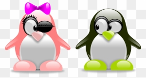 Valentines Day Couple Png High-quality Image - Fun Facts About Penguins
