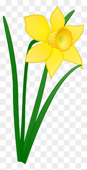 Daffodil Flower Clip Art Clipart Panda Free Clipart - Daffodil Clip Art ...