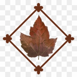 Leaf Flourish - Maple Leaf