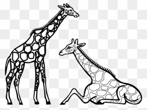 Giraffe Clip Art Outline - Giraffe Coloring
