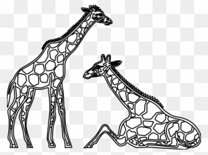 Clipart Library - Clipart Library - Giraffe Black And White