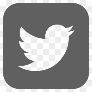 Fb Insta Twitter Twitter Logo White On Blue Free Transparent Png Clipart Images Download Fb Insta Twitter Twitter Logo White On Blue Free Transparent Png Clipart Images Download