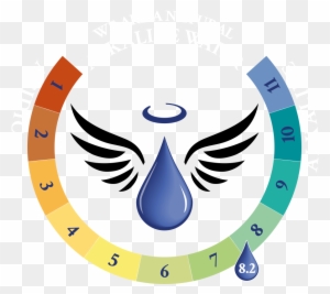 Ph Level And Alkalinity - Angel Revive Logo
