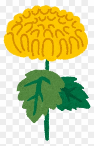 When 菊 イラスト フリー Free Transparent Png Clipart Images Download When 菊 イラスト フリー Free Transparent Png Clipart Images Download