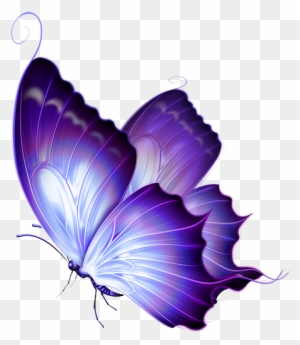 Moonlight Tea - Beautiful Butterfly