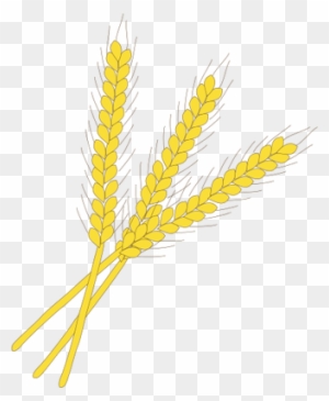Download Wheat Svg Wheat Symbol Free Transparent Png Clipart Images Download