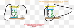 Why Does Salt Solution Conduct Electricity, While Sugar - Salt Solution Conduct An Electric Current