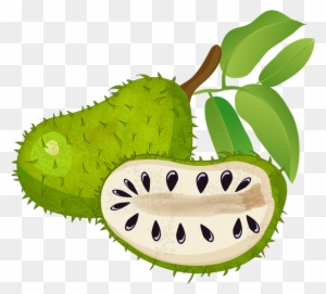 Free To Use Public Domain Fruits Clip Health Benefits Of Soursop Free Transparent Png Clipart Images Download