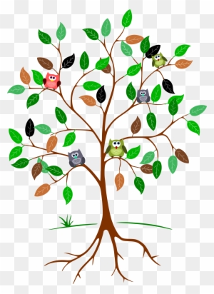 Owls In A Tree - Colourful Tree Of Life Png