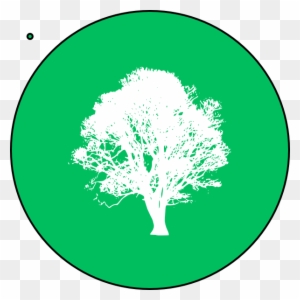 Tree Of Life Sticker