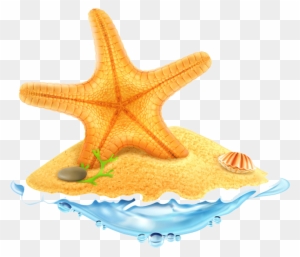 Starfish All Species Sea Stars Belong Stock Photo Royalty - Coconut Tree Cartoons Summer
