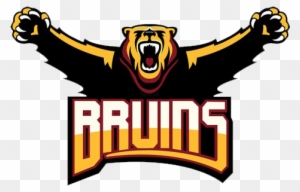 Mountain View Bruins - Mountain View High School Bruins