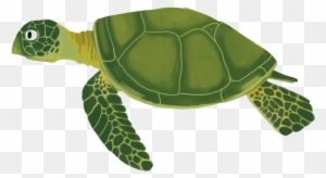 Sea Turtle Animation - Animated Sea Turtle