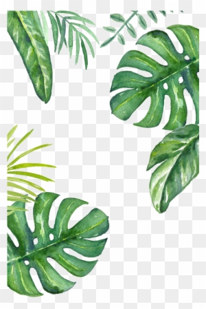 Banana Leaf Wallpaper - Plant Wallpaper Iphone