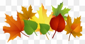 This Week The Children Continued To Explore The Season - Autumn Leaves Clip Art