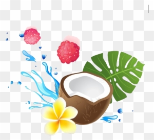 Coconut Milk Coconut Water Coconut Oil Health - Fruits And Water Cartoon