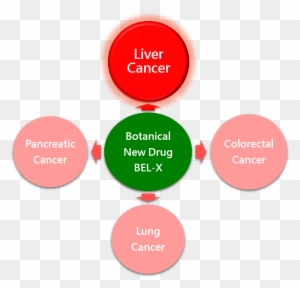 Liver Cancer-20161101 - Joint-stock Company