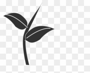 Leaf Stem Clipart Leaves Plant Stem Free Vector Graphic - Stem And Leaf Vector