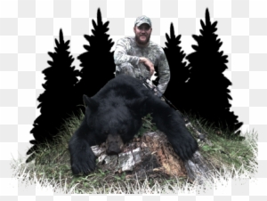 Click Here For More Info On Wolf Hunts - American Black Bear