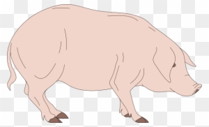 Standing Pig Clip Art - Pig Head Cartoon Side View