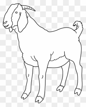 Goat Clipart Black And White, Transparent PNG Clipart Images Free Download  - ClipartMax