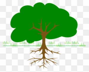 Tree, Branches, Roots, Ecology, Bio - Tree Clip Art