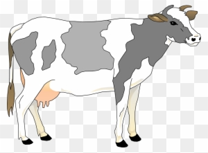 Cow 3 Small Clipart 300pixel Size, Free Design - Grey And White Cow ...