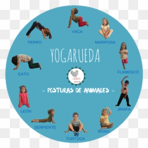 Espero Que Utilicen Esta Rueda Para Hacer Todas Las - Postura De La Jirafa Yoga