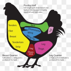 Butcher S Diagrams Of Meat Cuts For Pig Chicken Lamb Chicken Testicles On Chicken Free Transparent Png Clipart Images Download