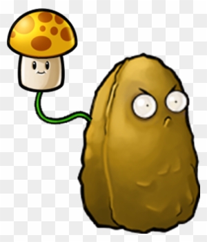 Sun Nut Plants Vs Zombies Character Creator Wiki Fandom - Plants Vs Zombies Nut