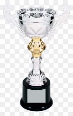 Silver & Gold Metal Corporate Cup Trophy On A Black - Cup Trophy Champion's - Gold / Silver