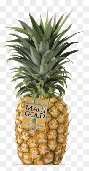 Maui Gold Pineapple - Maui Gold Pineapple