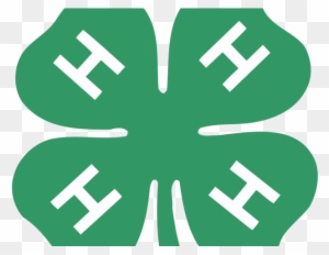 4-h Animal Sciences Intern - 4 H Clover