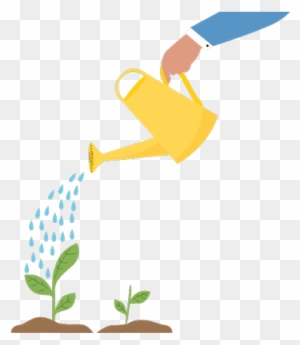 Hand Holding Watering Can, Pouring Water On Small Plants - Watering Can Plant Png