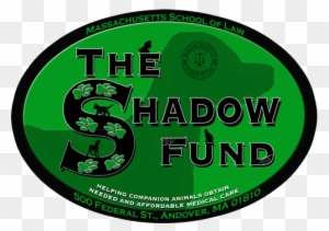 The Shadow Fund Cannot Be Used For Routine Medical - Massachusetts School Of Law