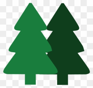 Tree Removal Company With Trimming And Stump Grinding - Christmas Tree