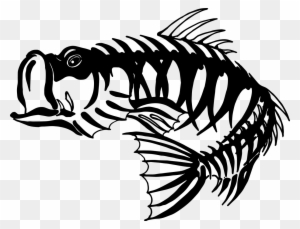 Free Bass Skeleton Cliparts, Download Free Clip Art, - Bass Fish Skeleton