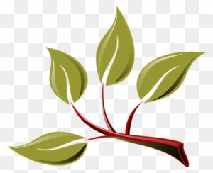Branch Eco Green Leaf Leaves Plant Tree Br - Branch With Leaves Clipart