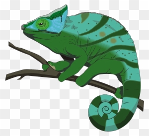 Los Camaleones De Stock - Animated Graphics Chameleon
